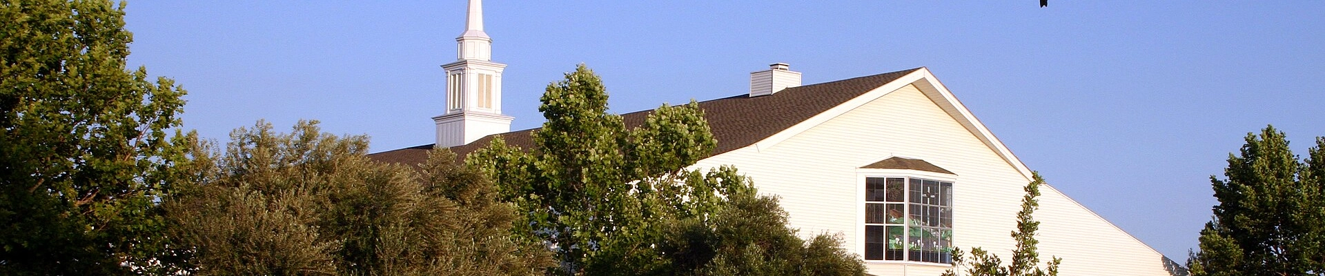 Local pros in Porter Ranch, CA