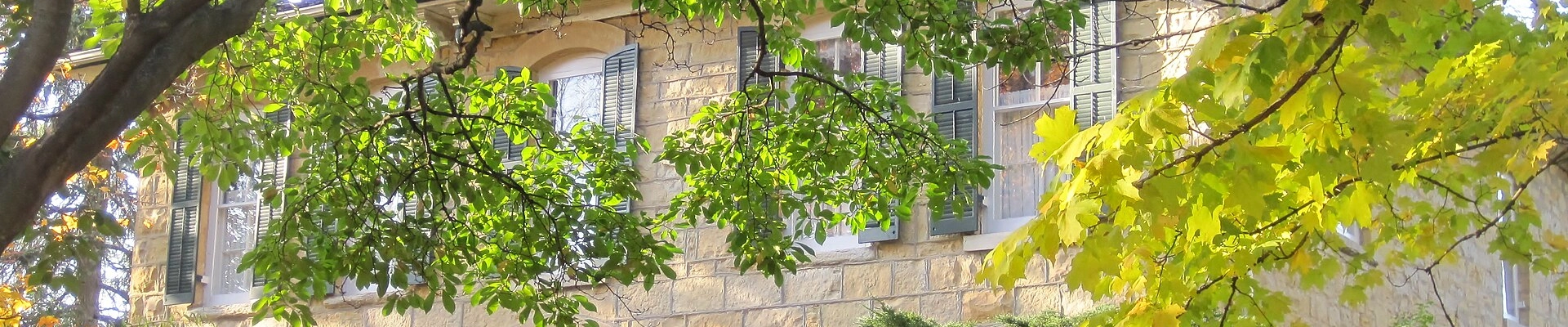 Landscaping in Homer Glen, IL