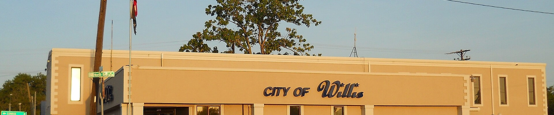 Local pros in Willis, TX