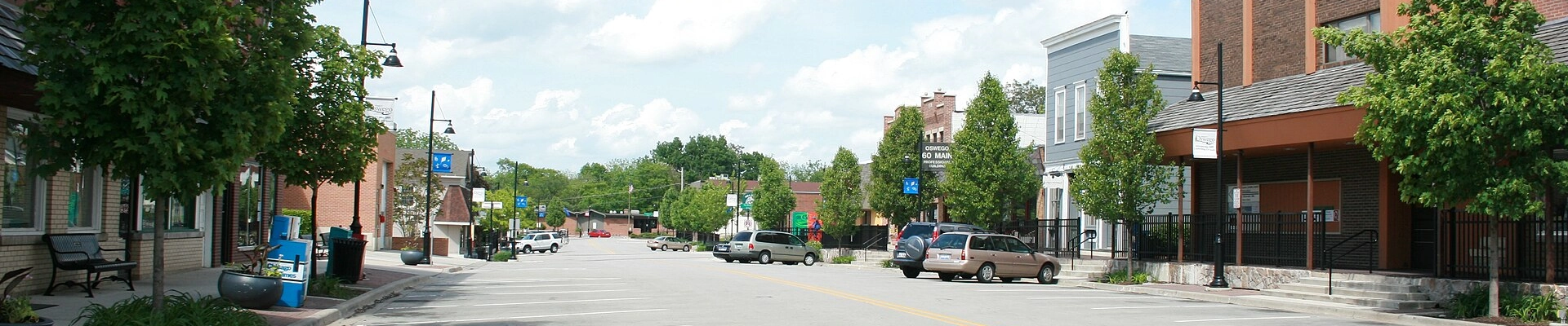 Local pros in Oswego, IL