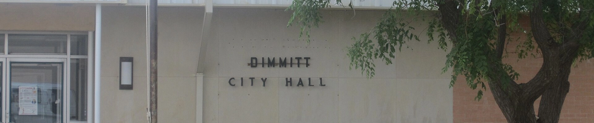 Local pros in Dimmitt, TX