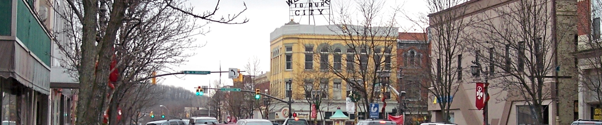 Tree providers in New Philadelphia