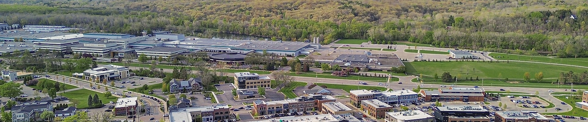 Local pros in Ada, MI