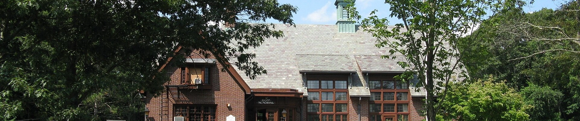 Landscaping, Tree, and Electrical in Rehoboth