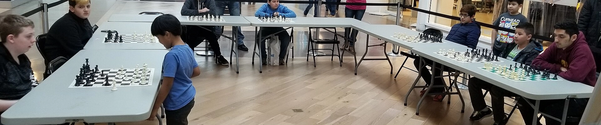 Local pros in Chicago Ridge, IL