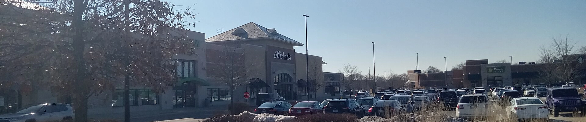 Local pros in Willowbrook, IL