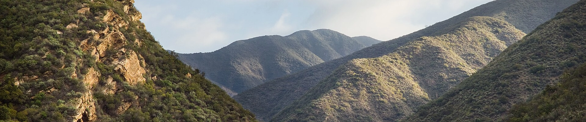 Local pros in Bell Canyon, CA