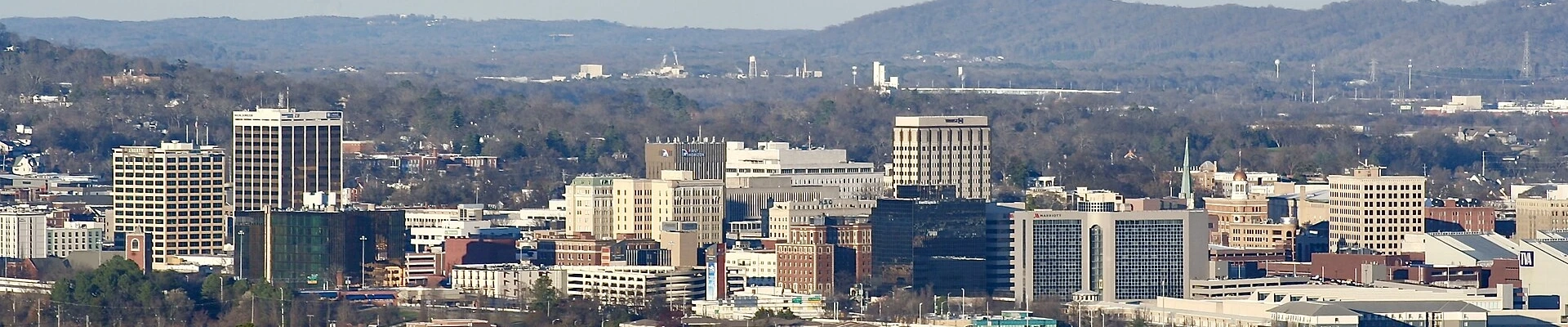 Local pros in Chattanooga, TN