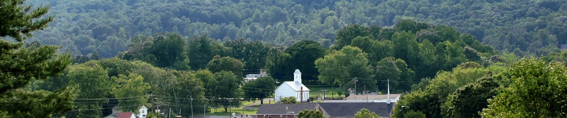 Local pros in Whitwell, TN