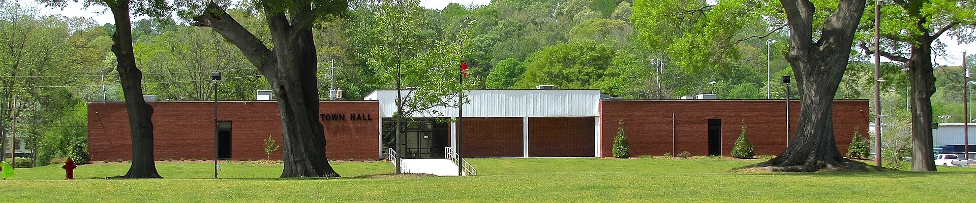 Local pros in Trion, GA