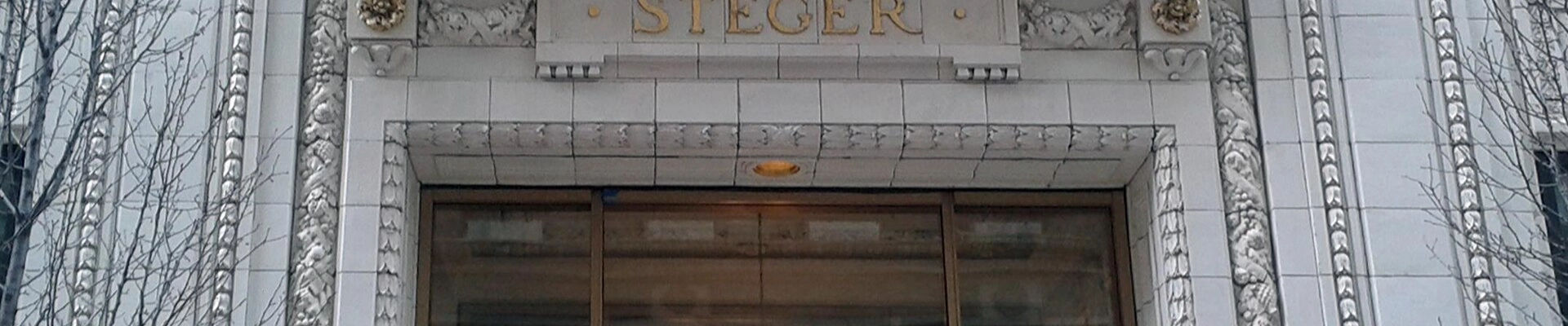 Local pros in Steger, IL