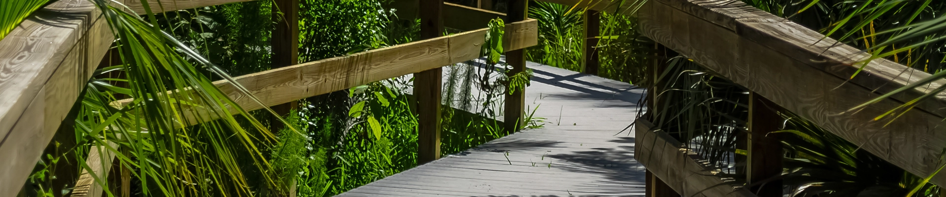 Local pros in Sanibel, FL