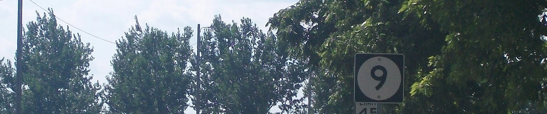 Plumbing, HVAC, and Tree in Larchwood