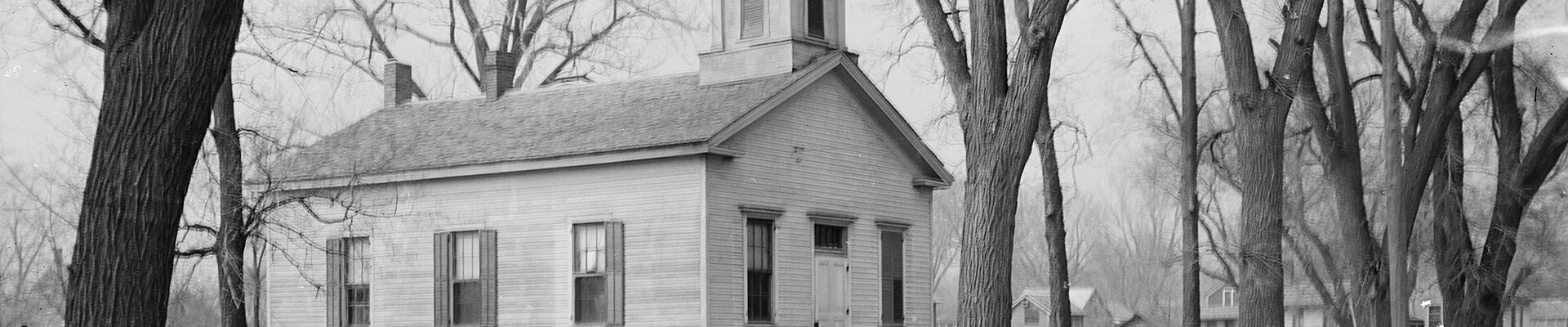 Tree in Dakota City, NE
