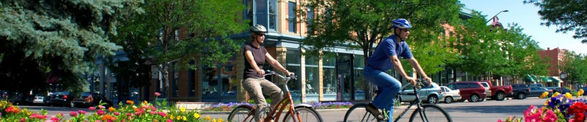 Local pros in Fort Collins, CO