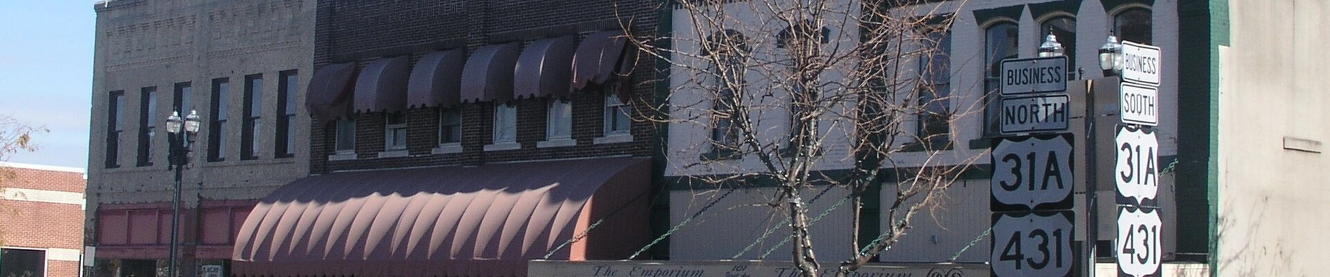 Tree, HVAC, and Electrical in Lewisburg