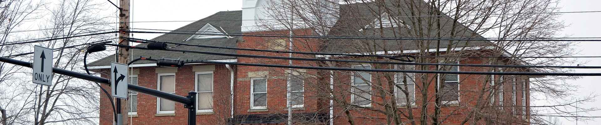 Tree, Contractor, and Electrical in Mayfield
