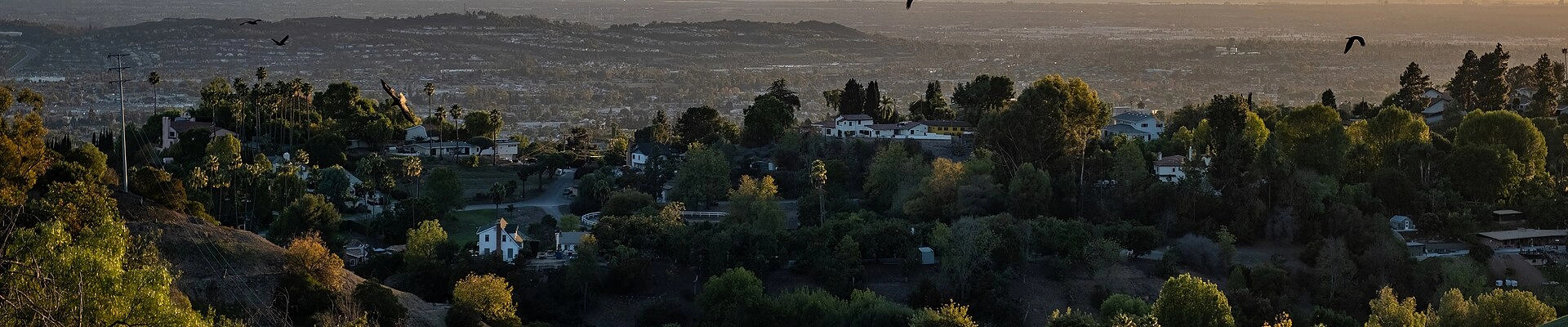Electrical, Landscaping, and Plumbing in La Habra Heights