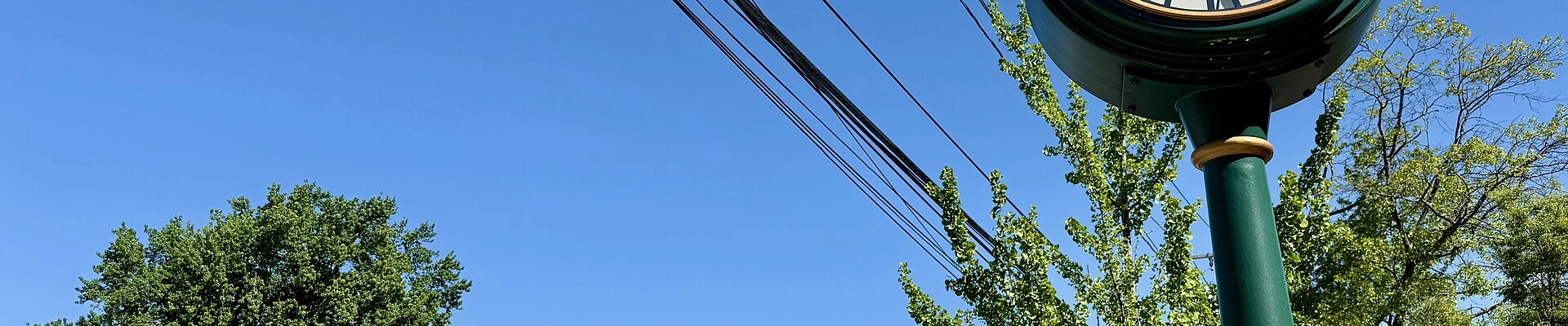 House Cleaning, Landscaping, and Electrical in Glen Head