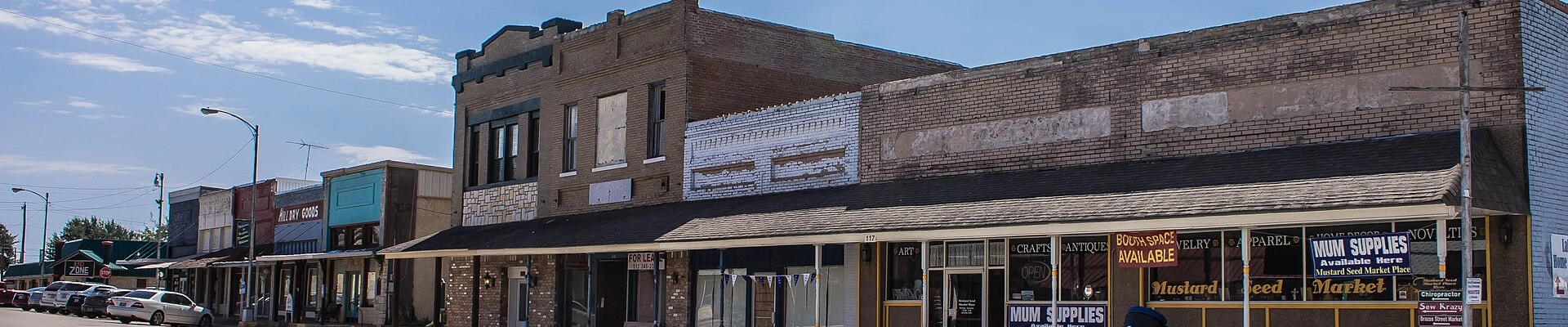 Local pros in Whitney, TX