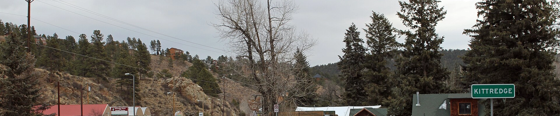 Electrical, Plumbing, and Tree in Kittredge