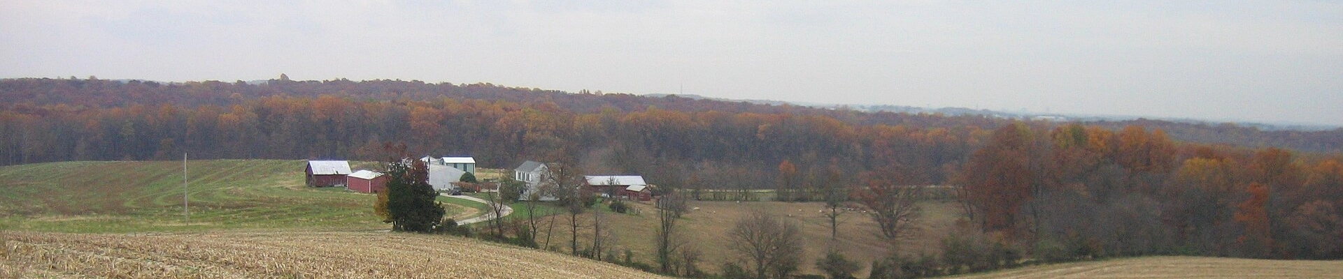 Local pros in Boyds, MD