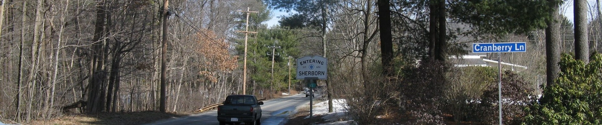 Local pros in Sherborn, MA