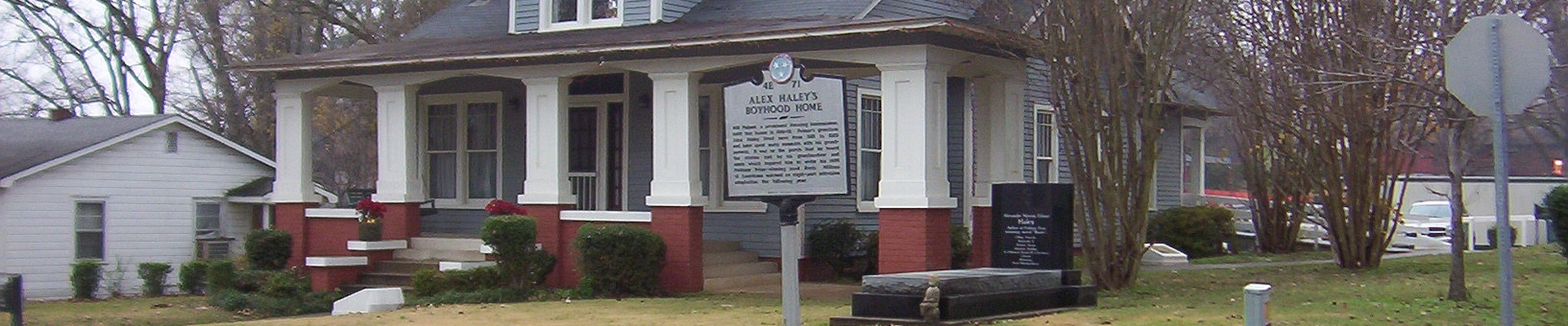 Local pros in Henning, TN