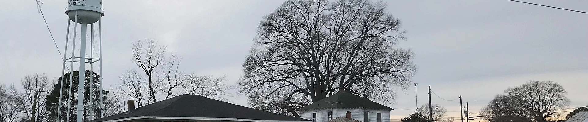 Local pros in Oak City, NC