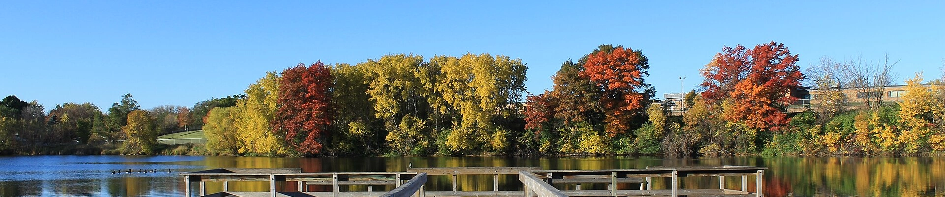 Landscaping, Tree, and Appliance Repair in West St Paul