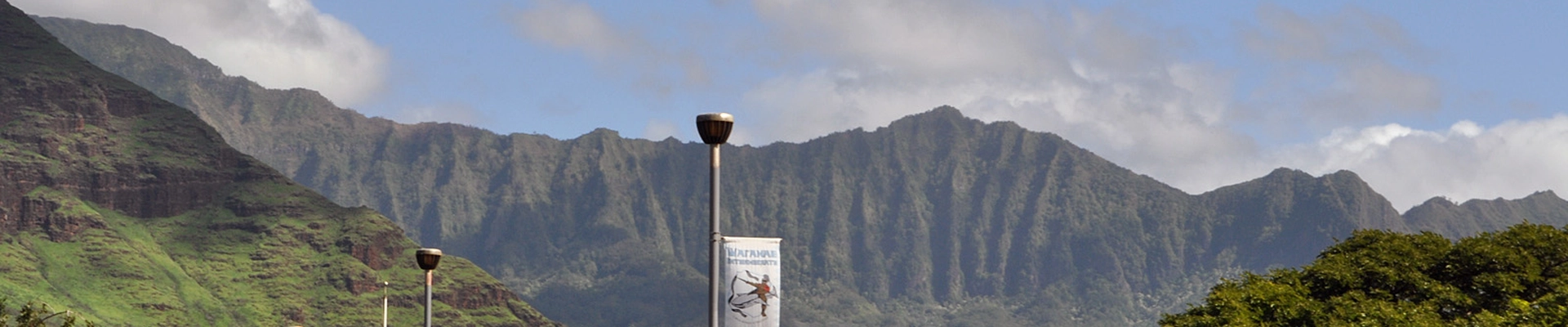 Plumbing, Appliance Repair, and Construction Company in Waianae