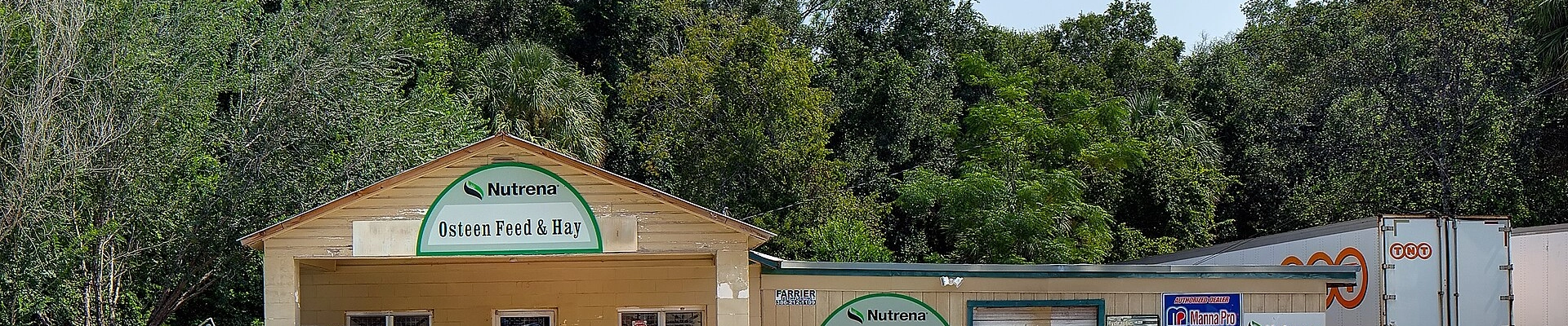 Landscaping in Osteen, FL