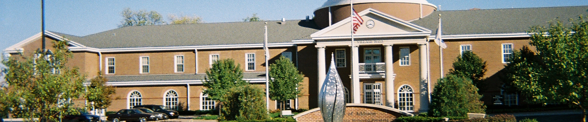 Local pros in Addison, IL