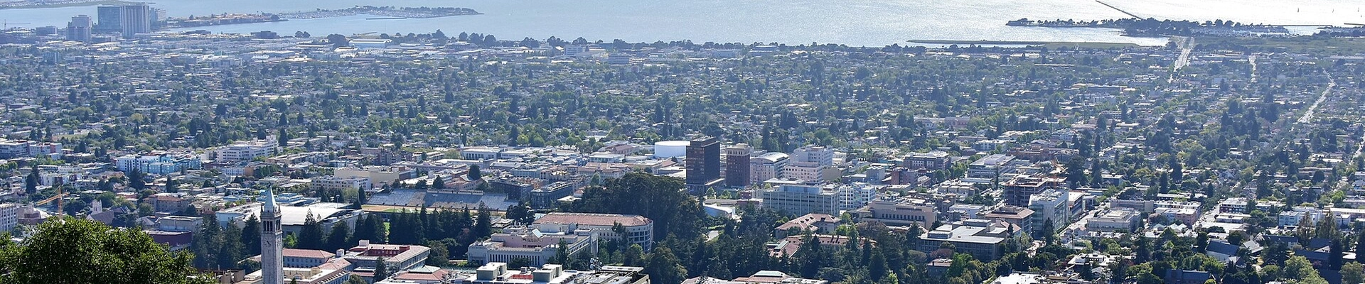 Local pros in Berkeley, CA