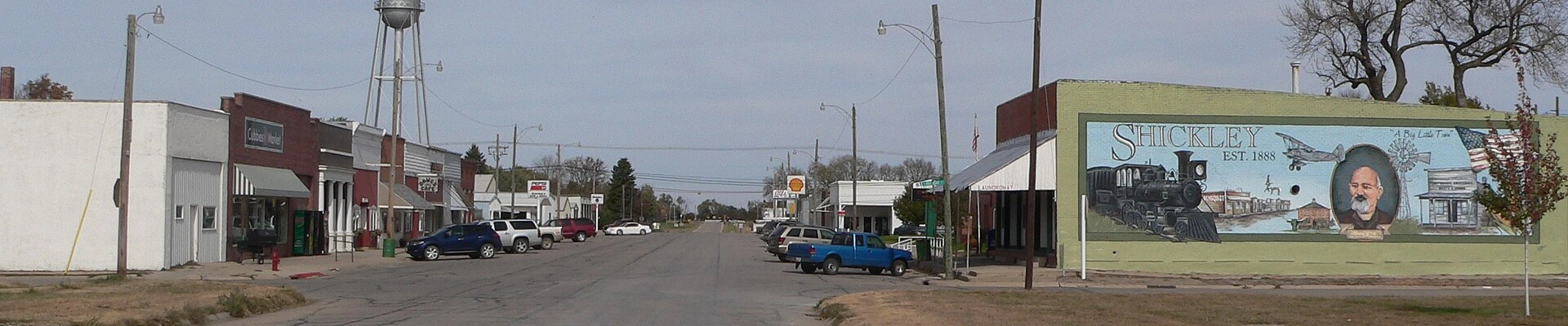 Local pros in Shickley, NE