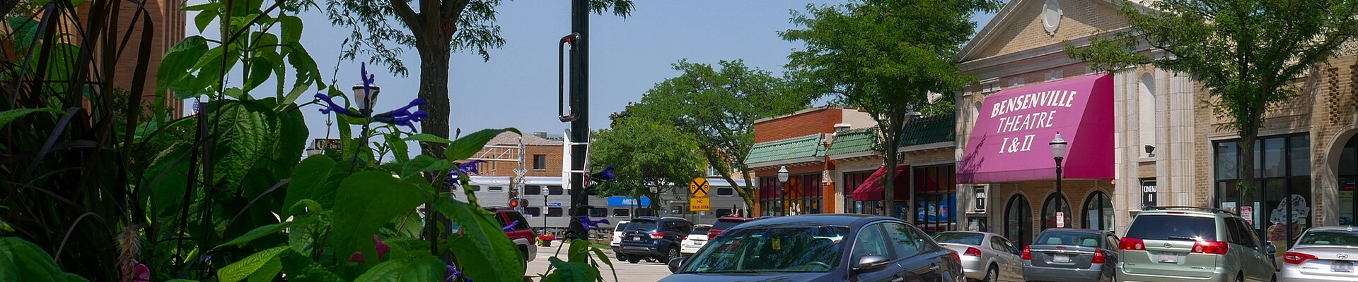 Local pros in Bensenville, IL