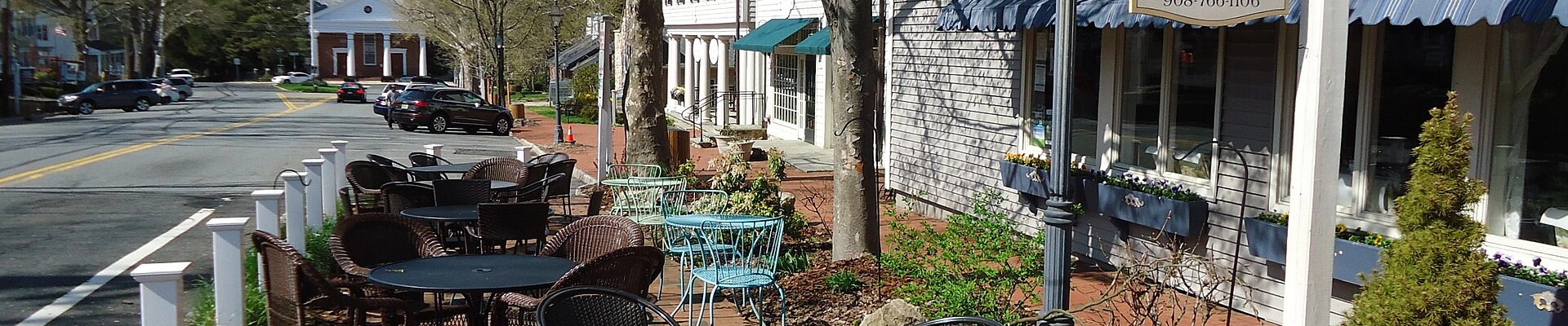 Tree providers in Basking Ridge