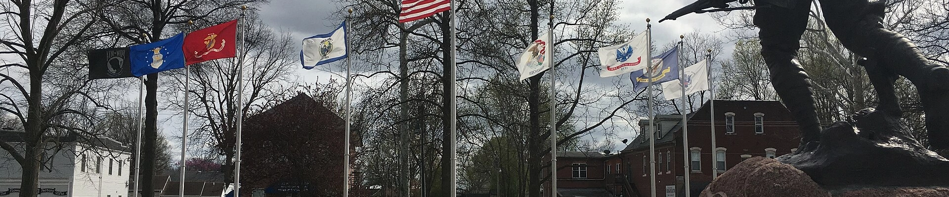 Local pros in Freeburg, IL