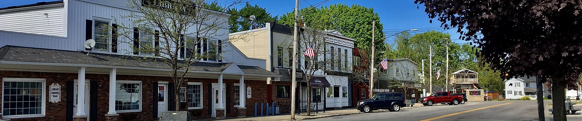 Tree in Wilson, NY