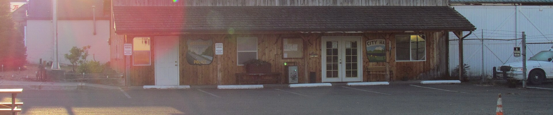 Electrical, Landscaping, and Plumbing in Mossyrock