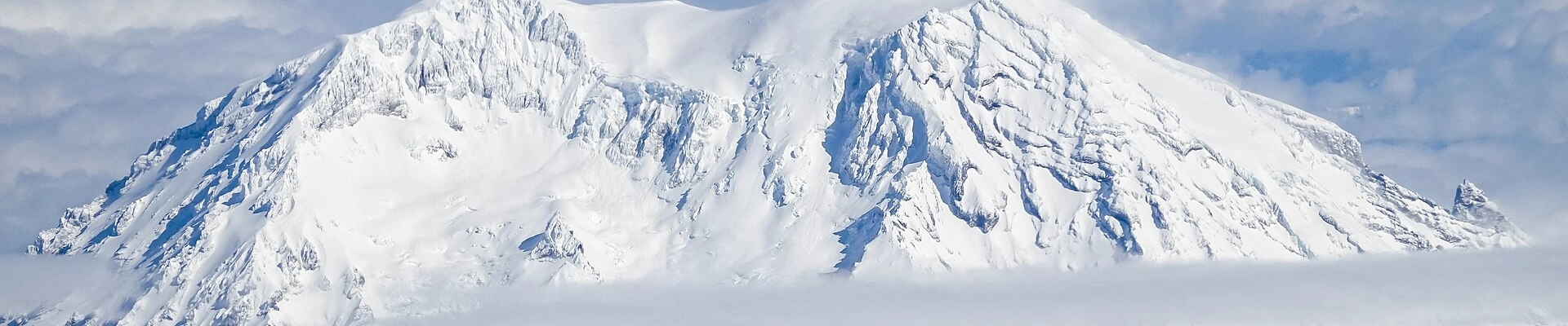 Local pros in Rainier, WA