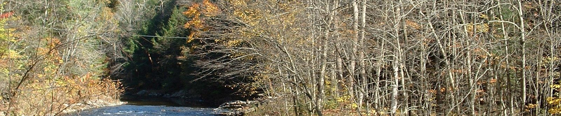 Tree providers in Colrain