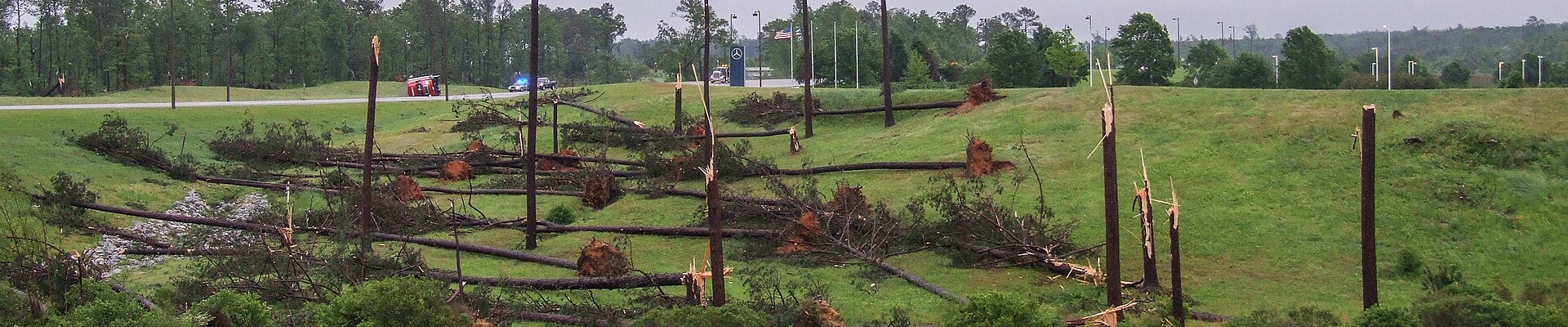 Local pros in Vance, AL