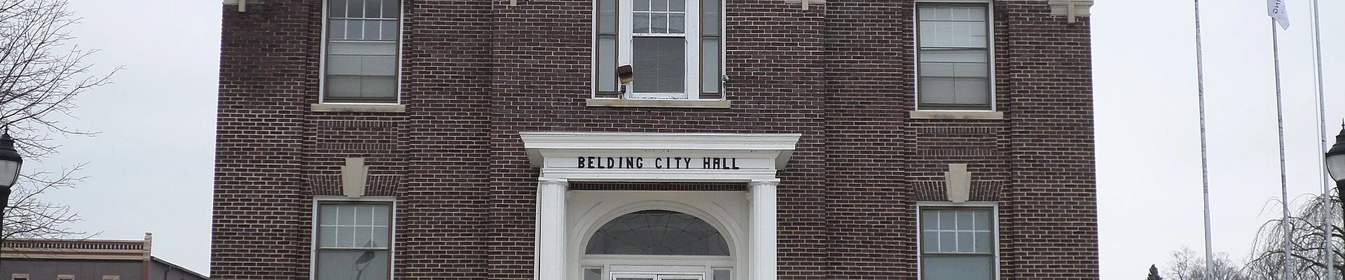 Local pros in Belding, MI