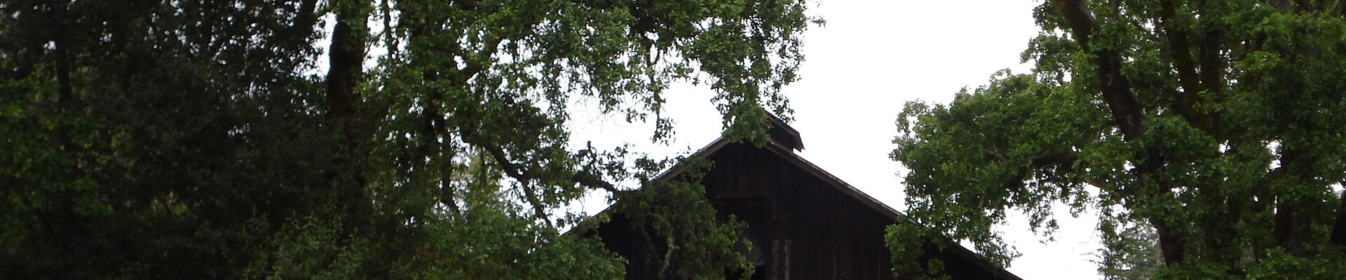 Contractor in Angwin, CA
