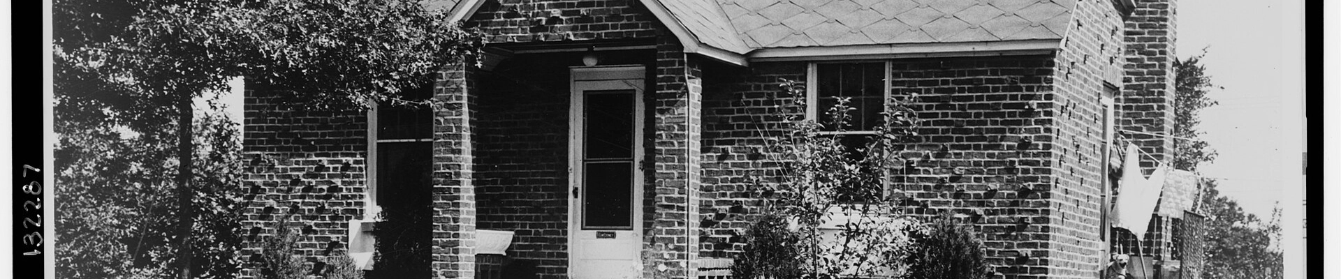 Tree and HVAC in Copiague