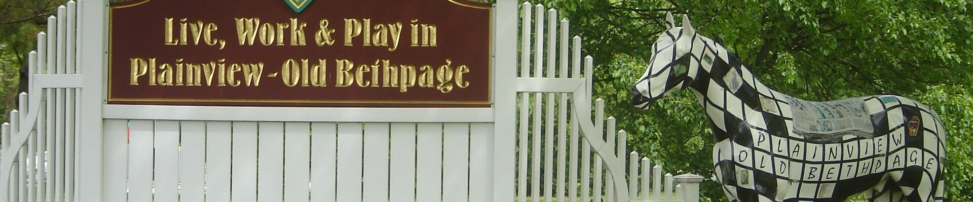 Local pros in Plainview, NY