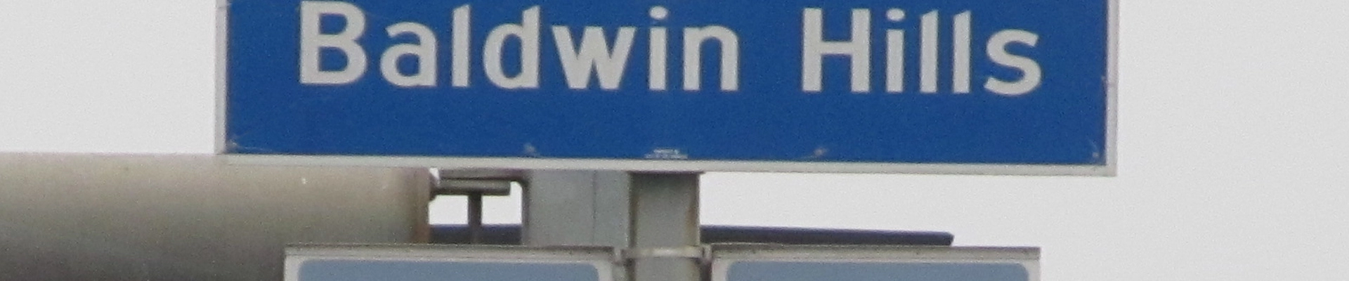 Local pros in Baldwin Hills, CA