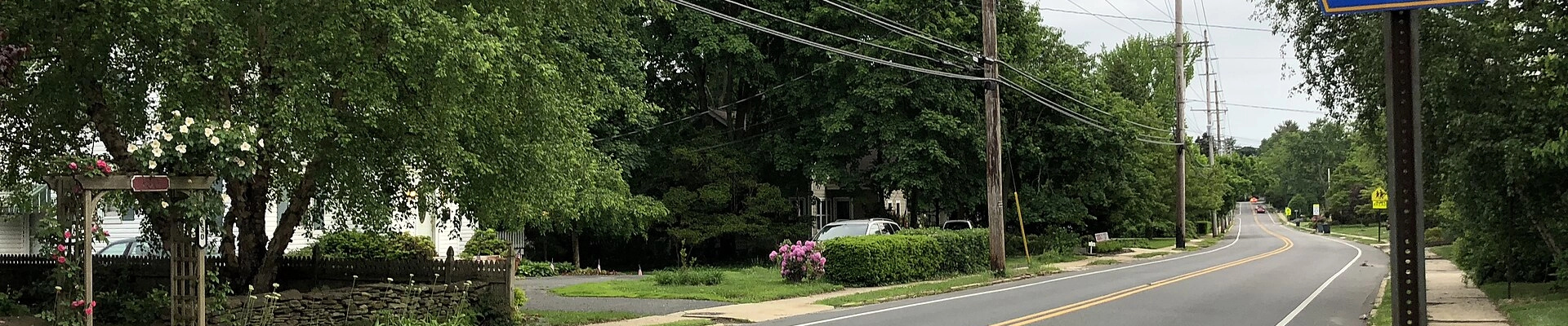 Local pros in Little Silver, NJ