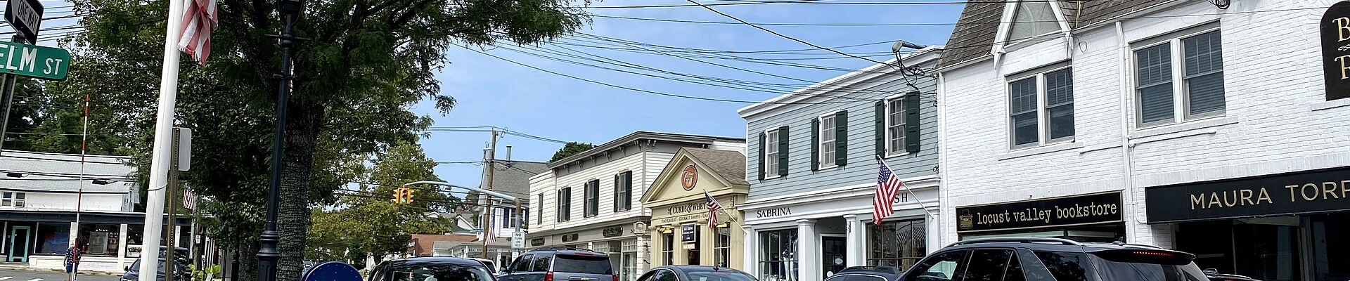 Local pros in Locust Valley, NY